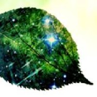 Universa Logo