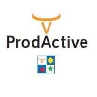 ProdActive Netherlands Logo