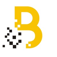 BITTINT IT Solutions LLP Logo