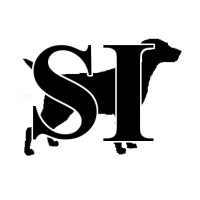 Strategy Infusion, LLC Logo