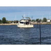 Top Shelf Fishing Charters Logo