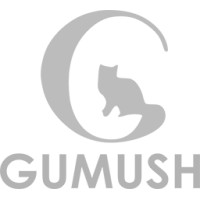 GUMUSH AeroSpace Logo
