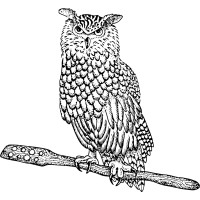 Envolve Winery Logo
