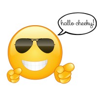 HalloCheeky Logo