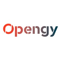 Opengy Logo