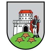 Grad Bjelovar Logo