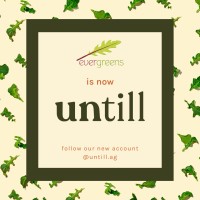 evergreens (Now Untill) Logo