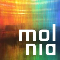 molnia Logo