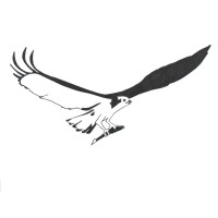 Hunter & Hunter LLC Logo