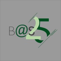 BUSINESS@SCHOOL - A BCG INITIATIVE Logo