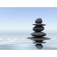 Mindfully Integrated Health PLLC Logo