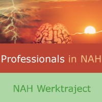 Professionals in NAH - NAH Werktraject Logo