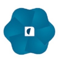 New Consulting - Information Systems, Lda. Logo