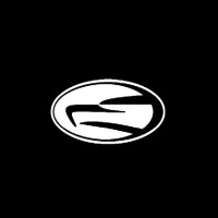 Federal Security Technologies Logo