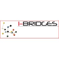 IBridges International Business Logo