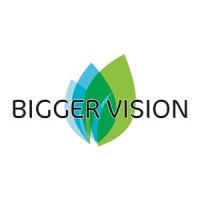 BIGGER VISION Logo