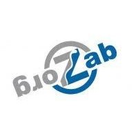 ZAB Zorg Logo