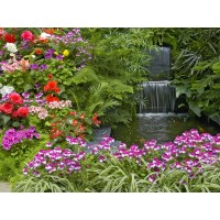 Pure Bookkeeping Service, LLC Logo