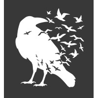 White Crow Logo