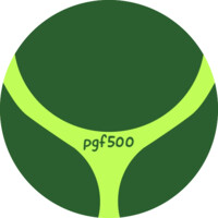 pgf500 Logo