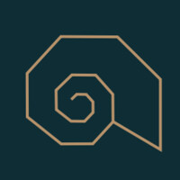 Ammonite Accounts Logo