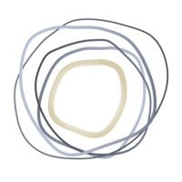 Brussels Mindfulness Logo