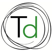 TD srl Stone Logo