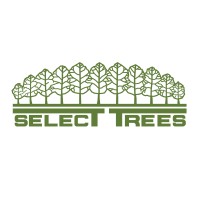 Select Trees Enterprises, Inc. Logo