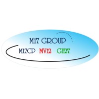 M17 Group Logo