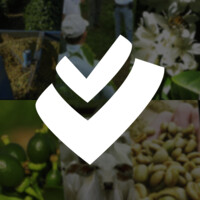 ViaVerde Consultoria Agropecuária Logo