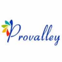 Provalley Solutions LLP - Software Company | Malaysia | India Logo