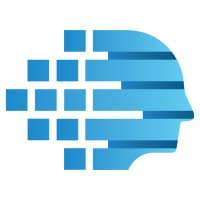 IDENRI Logo