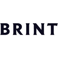 BRINT Logo