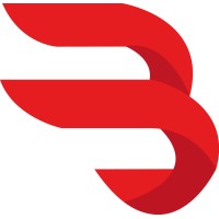 Biz Baggage Logo