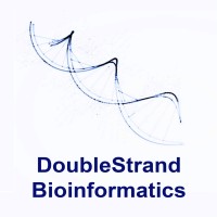 DoubleStrand Bioinformatics Logo