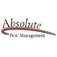 Absolute Pest Management Logo