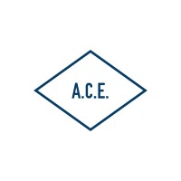 A.C.E. SAS Logo