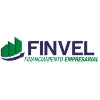 GRUPO FINVEL SA DE CV Logo