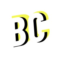 BDY CONSULT Logo