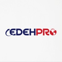 EDEHPRO Consultores / Eleva el Rendimiento de tu Capital Humano Logo