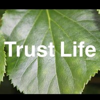 Trust Life Logo