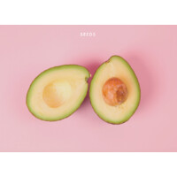 Seeds Logo