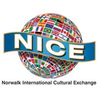 NICE INC Logo