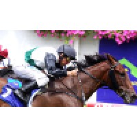 Lindsay Park Racing Logo