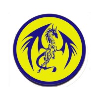 Blue Dragon Martial Arts Logo