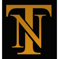 The National Times Media Logo