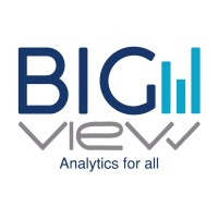 Bigview Analytics Logo