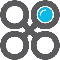 Bold Insight Logo