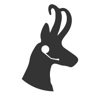 Antelope Systems Logo