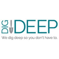 Dig Deep Research Logo